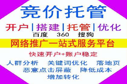 sem代运营机构经典案例：提升广告投放效果
